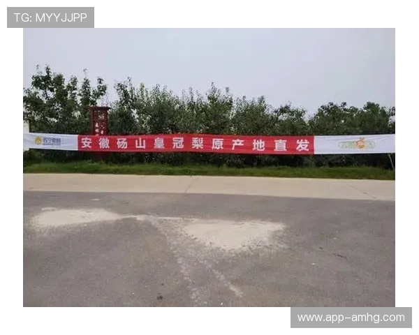 皇冠登陆中国积极响应国家政策，推动行业规范化发展