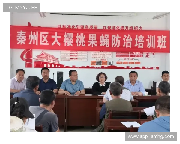 皇冠盘滚球角的玩法详解与技巧提升指南