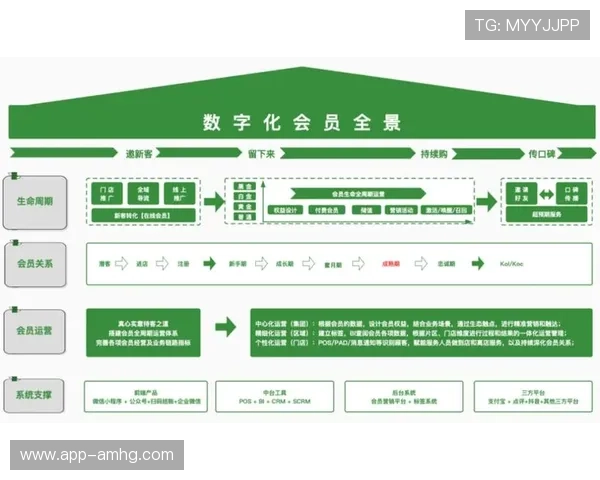 如何利用皇冠会员端提升平台运营效率，实现会员权益的最大化价值