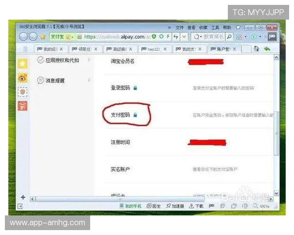 澳门皇冠登录软件下载教程,详细步骤带您轻松完成账户登录与游戏体验